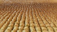 Travelexpo Ankara 3.Uluslararası Turizm Fuarı ve Gastronomi Zirvesi Başladı